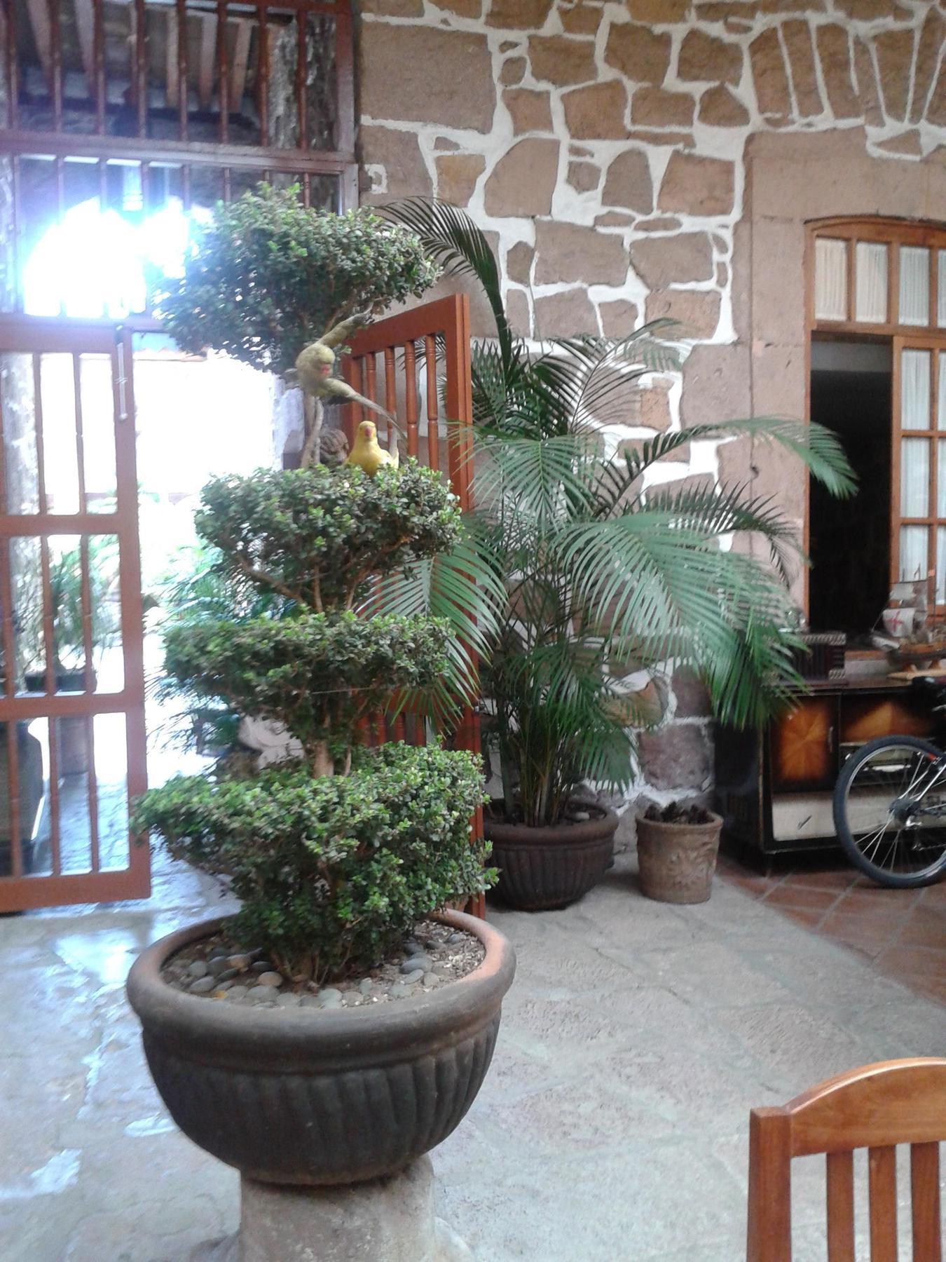 Hotel Casa Del Anticuario Морелия Экстерьер фото